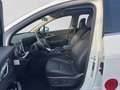Kia Sportage SPORTAGE 1.6T 48V 2WD DCT SPI LED GD DRI Weiß - thumbnail 9