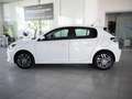 Peugeot 208 (P2)(2019->) Active Pack 1.2 100Cv 36 mesi garanzia Blanco - thumbnail 2