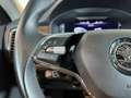 Skoda Kodiaq 2.0 TDI 147 kW (200CV) Scout DSG 4x4 Azul - thumbnail 22