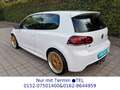 Volkswagen Golf VI R 4Motion*1.Hd*VW S-Heft*TOP zustand Weiß - thumbnail 2
