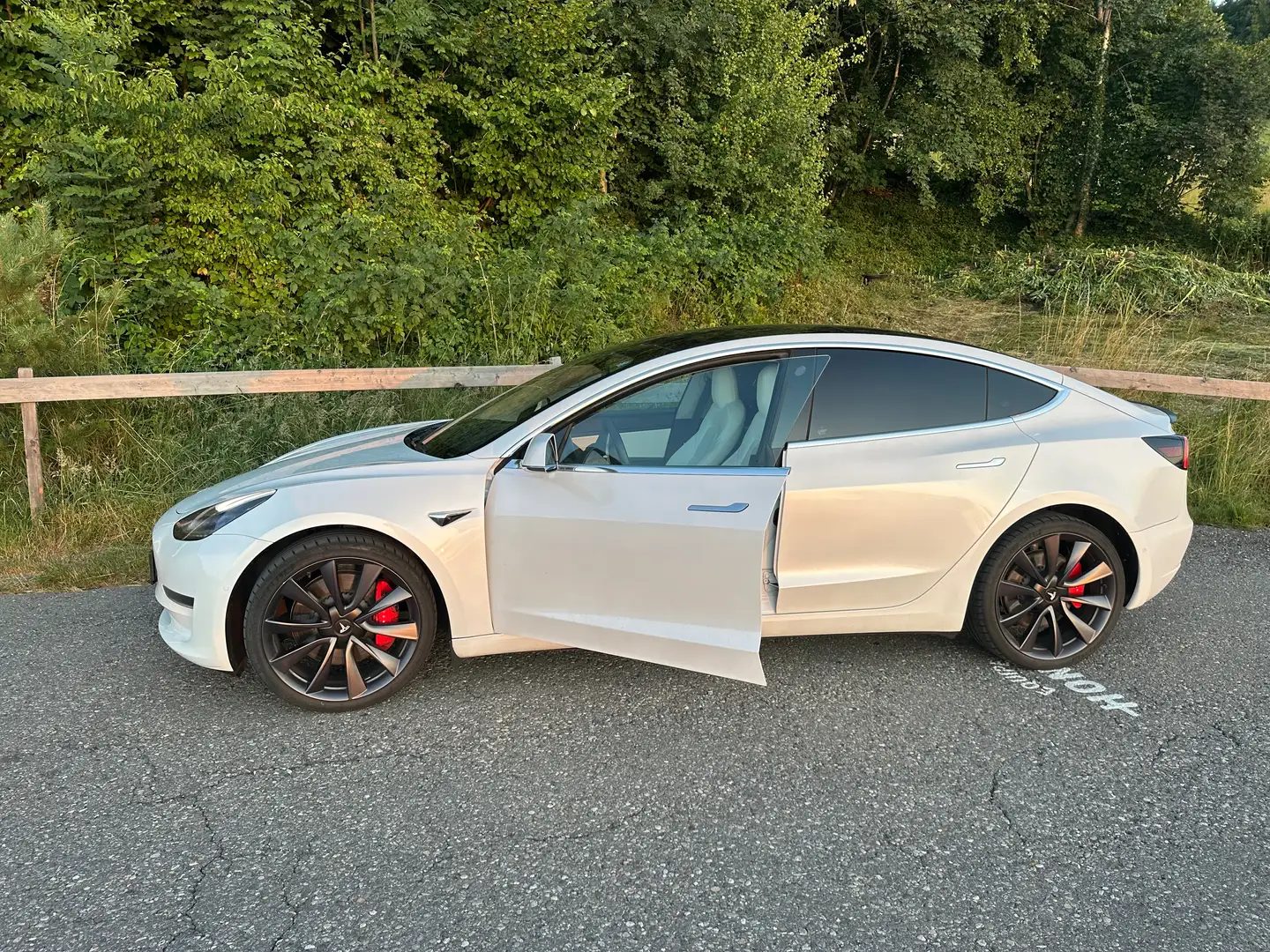 Tesla Model 3 Model 3 Performance AWD 57,5kWh Weiß - 1