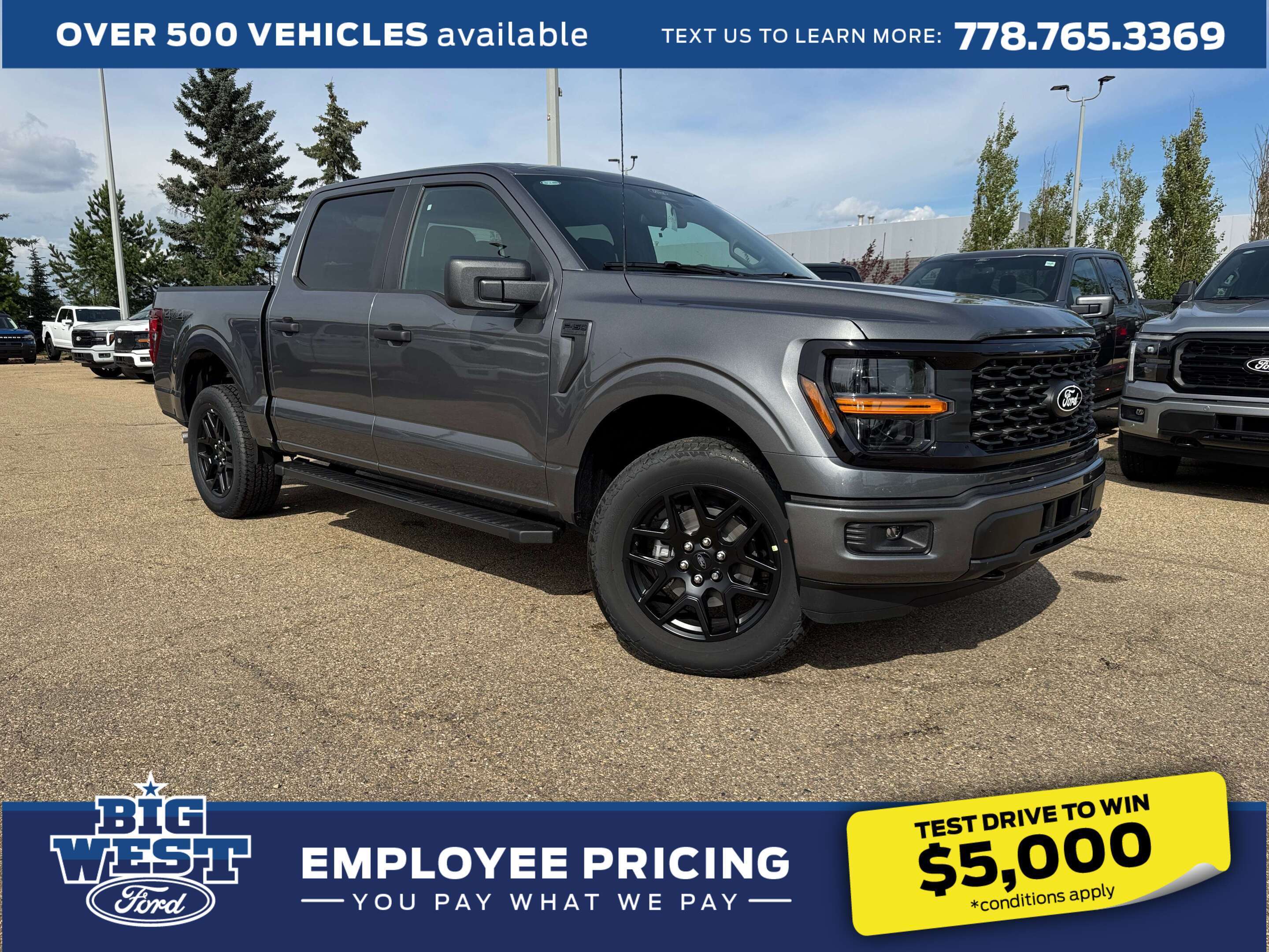 Gray 2026 Ford F-150 Pickup Truck Four-Wheel Drive Automatic