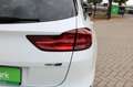Kia Ceed SW / cee'd SW GT Line Weiß - thumbnail 11
