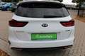 Kia Ceed SW / cee'd SW GT Line Weiß - thumbnail 10