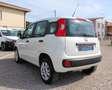 Fiat Panda 0.9 t.air t. natural power Metano Neopatentati ok Wit - thumbnail 7