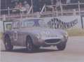 Austin-Healey Sprite Sprinzel Sebring Sprite -- ex Pat Moss works car Šedá - thumbnail 47