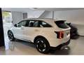 Kia Sorento 1.6 T-GDi HEV Emotion 4x2 Blanco - thumbnail 6