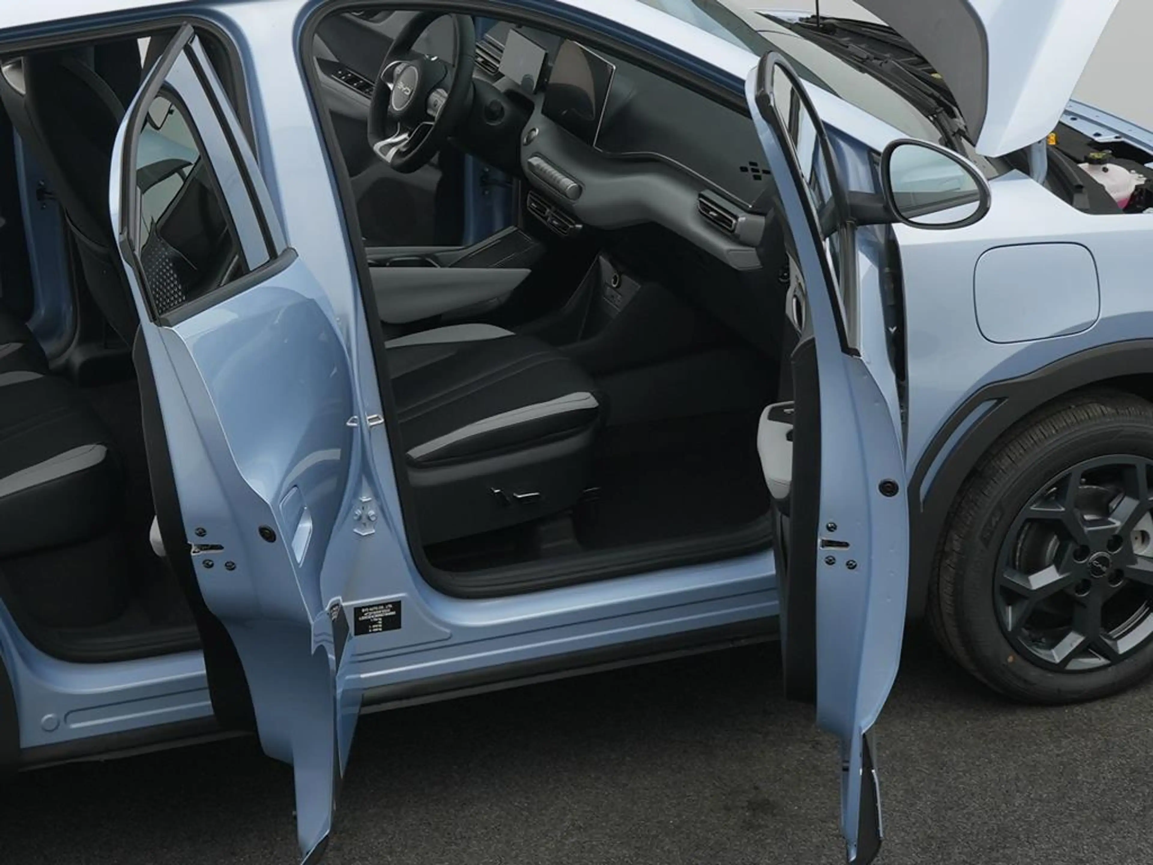 BYD Dolphin SURF Comfort — photo 11