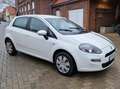 Fiat Punto More Tüv Neu White - thumbnail 7