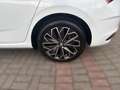 Skoda Scala 1.0 TSI TOUR BLACK *MATRIX *RKAM *CARPLAY *DAB *1 Weiß - thumbnail 8
