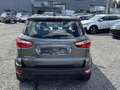 Ford EcoSport trend Grau - thumbnail 7