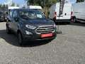 Ford EcoSport trend Grau - thumbnail 4