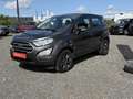 Ford EcoSport trend Grau - thumbnail 19