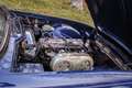 Triumph TR6 2.5 Azul - thumbnail 17