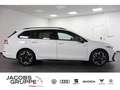 Volkswagen Golf VIII Variant 2.0 TDI R-Line "Black Style" Weiß - thumbnail 4