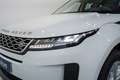 Land Rover Range Rover Evoque 2.0D MHEV S AWD Aut. 150 Blanco - thumbnail 10