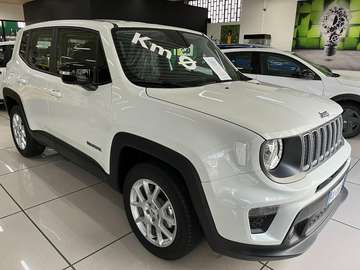 Renegade 1.0 T3 Limited