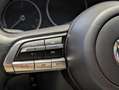 Mazda CX-30 Homura 2WD-360/ACC/AHK/LED/Bose Gold - thumbnail 19