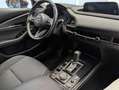 Mazda CX-30 Homura 2WD-360/ACC/AHK/LED/Bose Gold - thumbnail 18