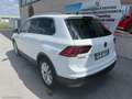 Volkswagen Tiguan 2.0 TDI DSG Executive BMT VIRTUAL NAVI LED Bianco - thumbnail 4