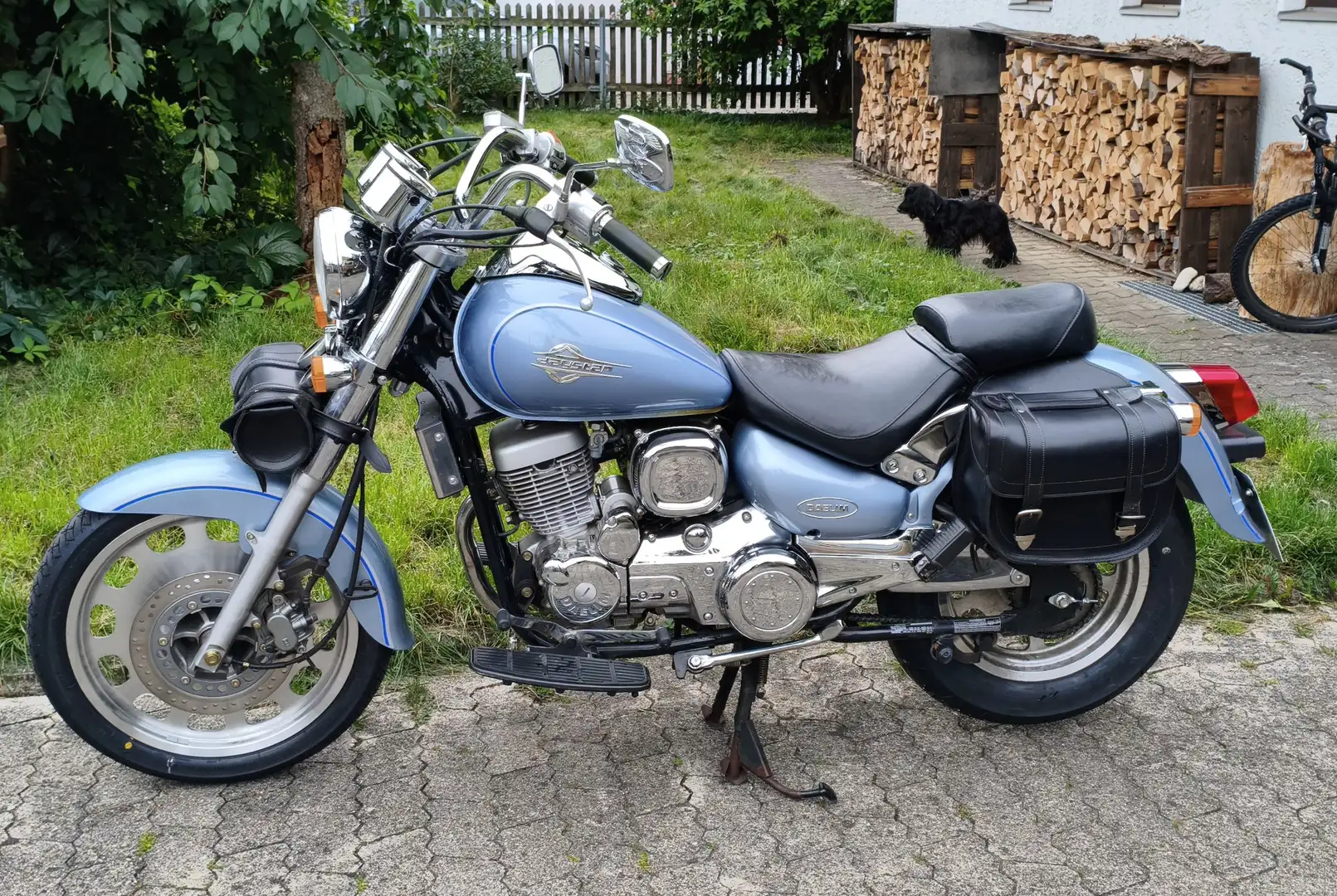 Daelim Daystar F.I. Daystar VL125F Bleu - 2