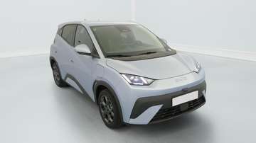 SURF 43.2 kWh 156 ch Comfort Autonomie 460