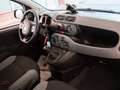 Fiat Panda 1.0 FIREFLY S&S HYBRID CITY LIFE 70 CV Grigio - thumbnail 10