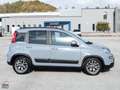 Fiat Panda 1.0 FIREFLY S&S HYBRID CITY LIFE 70 CV Grigio - thumbnail 7
