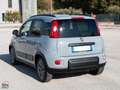 Fiat Panda 1.0 FIREFLY S&S HYBRID CITY LIFE 70 CV Grigio - thumbnail 4