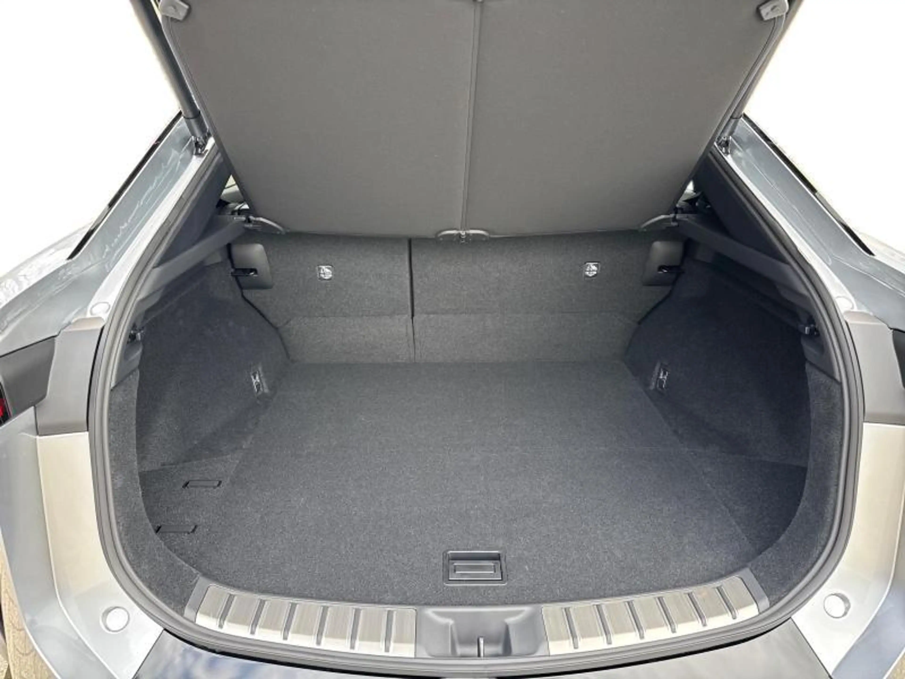 Lexus RZ Privilege Line + Pano — photo 9