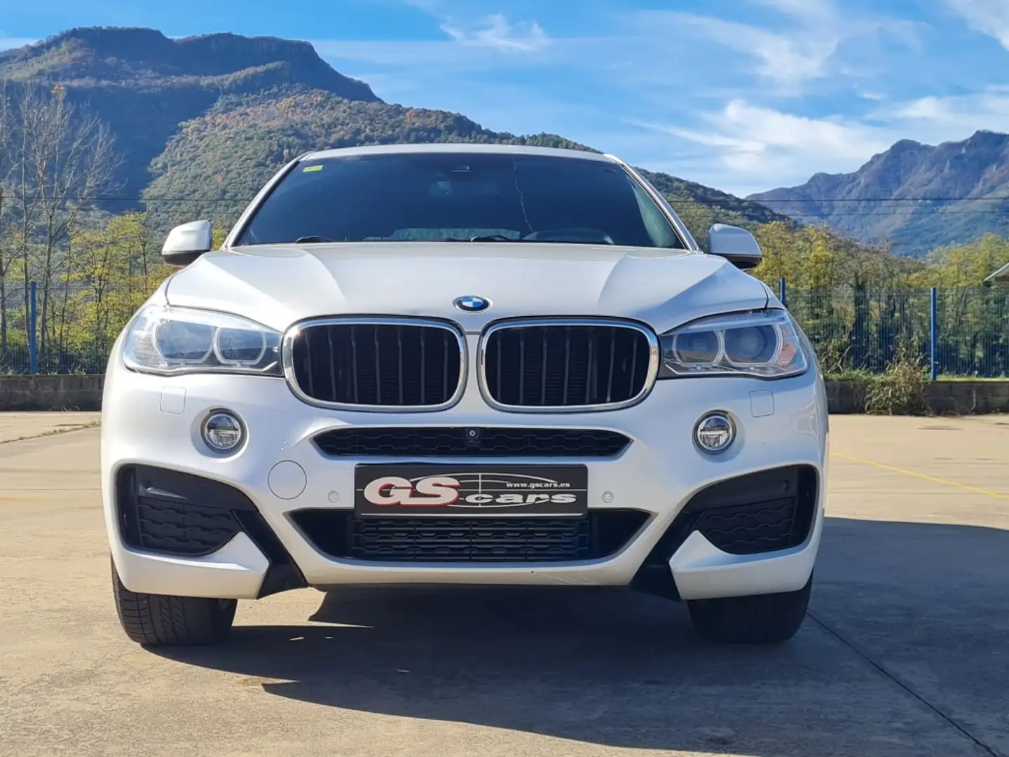 BMW X6 xDrive 30dA Blanco - 2