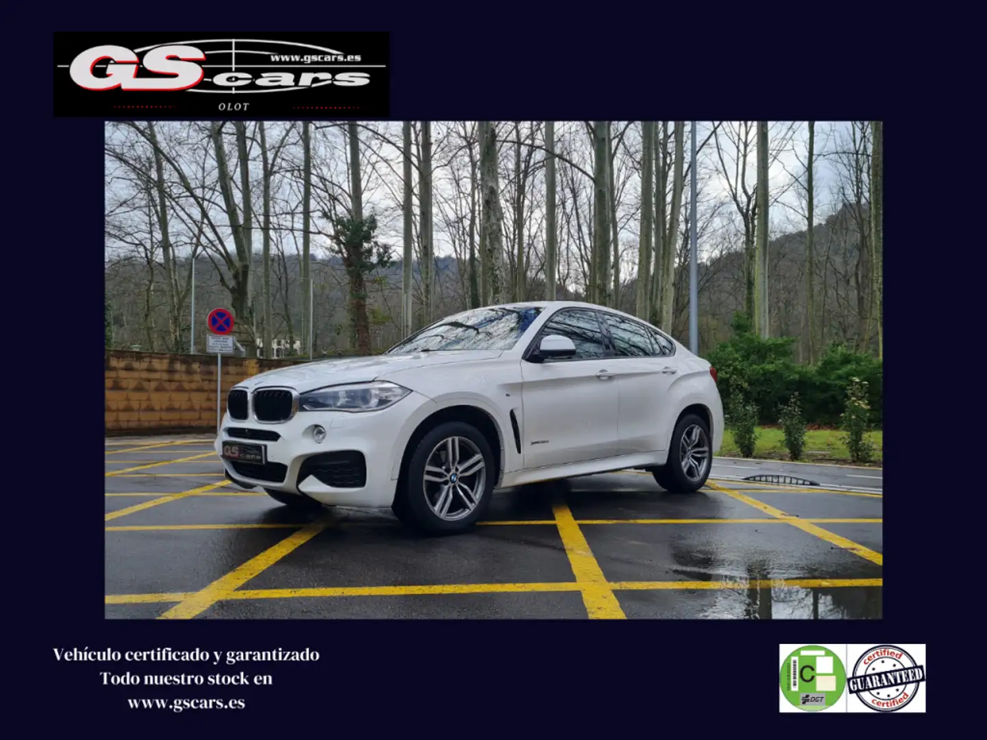 BMW X6 xDrive 30dA Blanco - 1