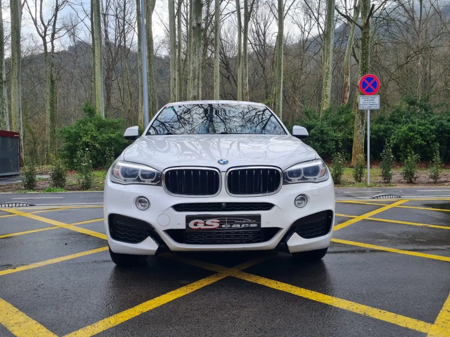 BMW X6 xDrive 30dA Wit - 2