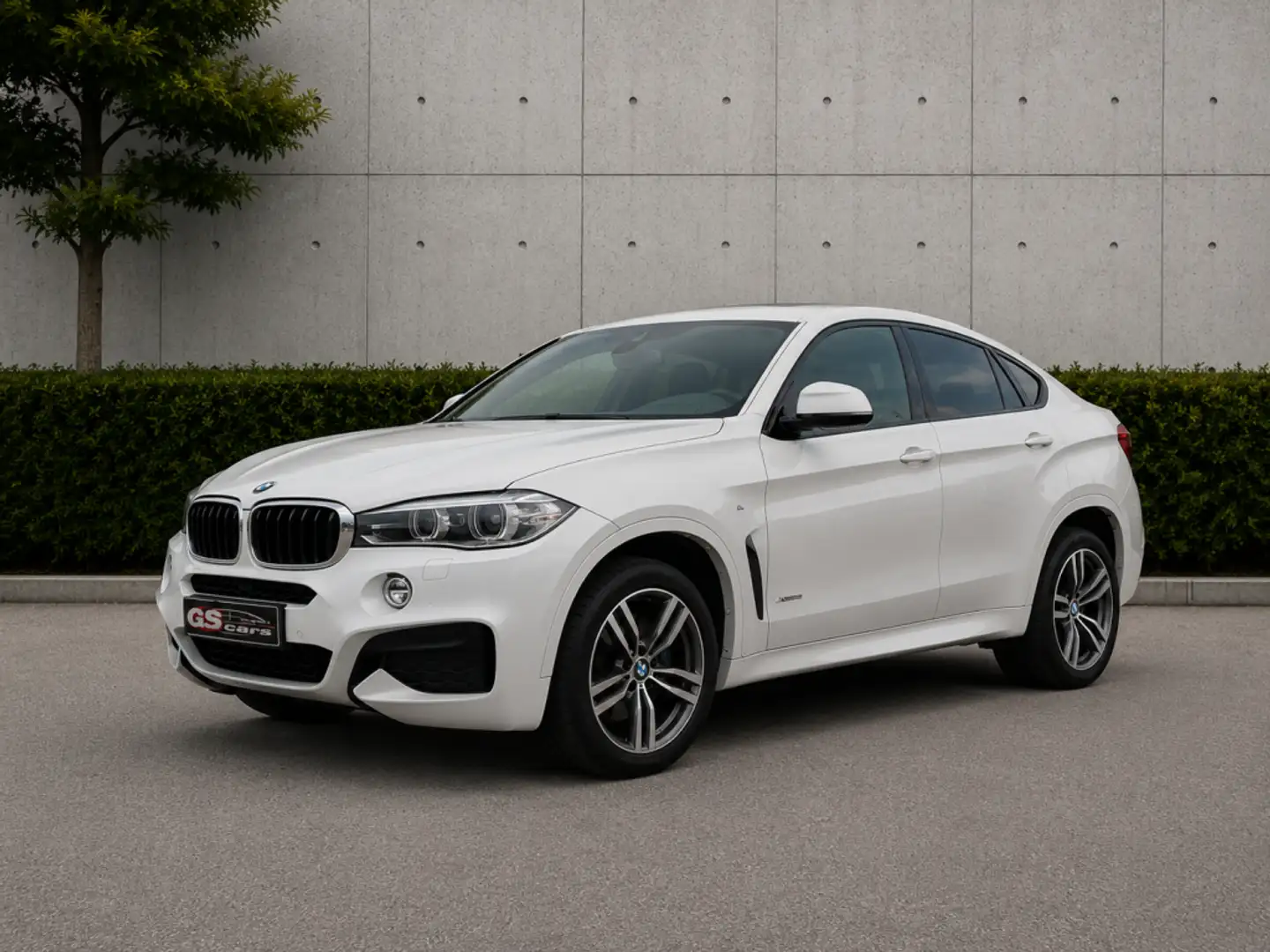 BMW X6 xDrive 30dA Blanco - 1