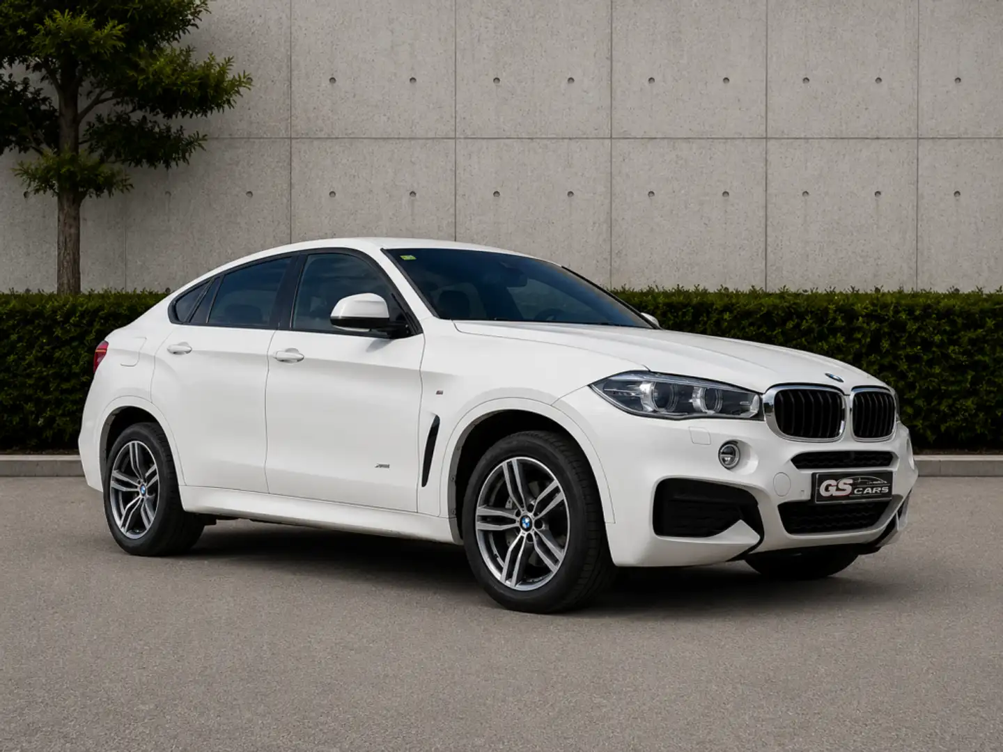 BMW X6 xDrive 30dA Blanco - 2