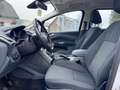 Ford Grand C-Max 1.0 125PK TITANIUM 7P (ONLY EXPORT) NAVI/CAM/TREKH Bílá - thumbnail 10
