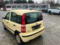 Fiat Panda Panda 1.1 Active Gelb - thumbnail 1