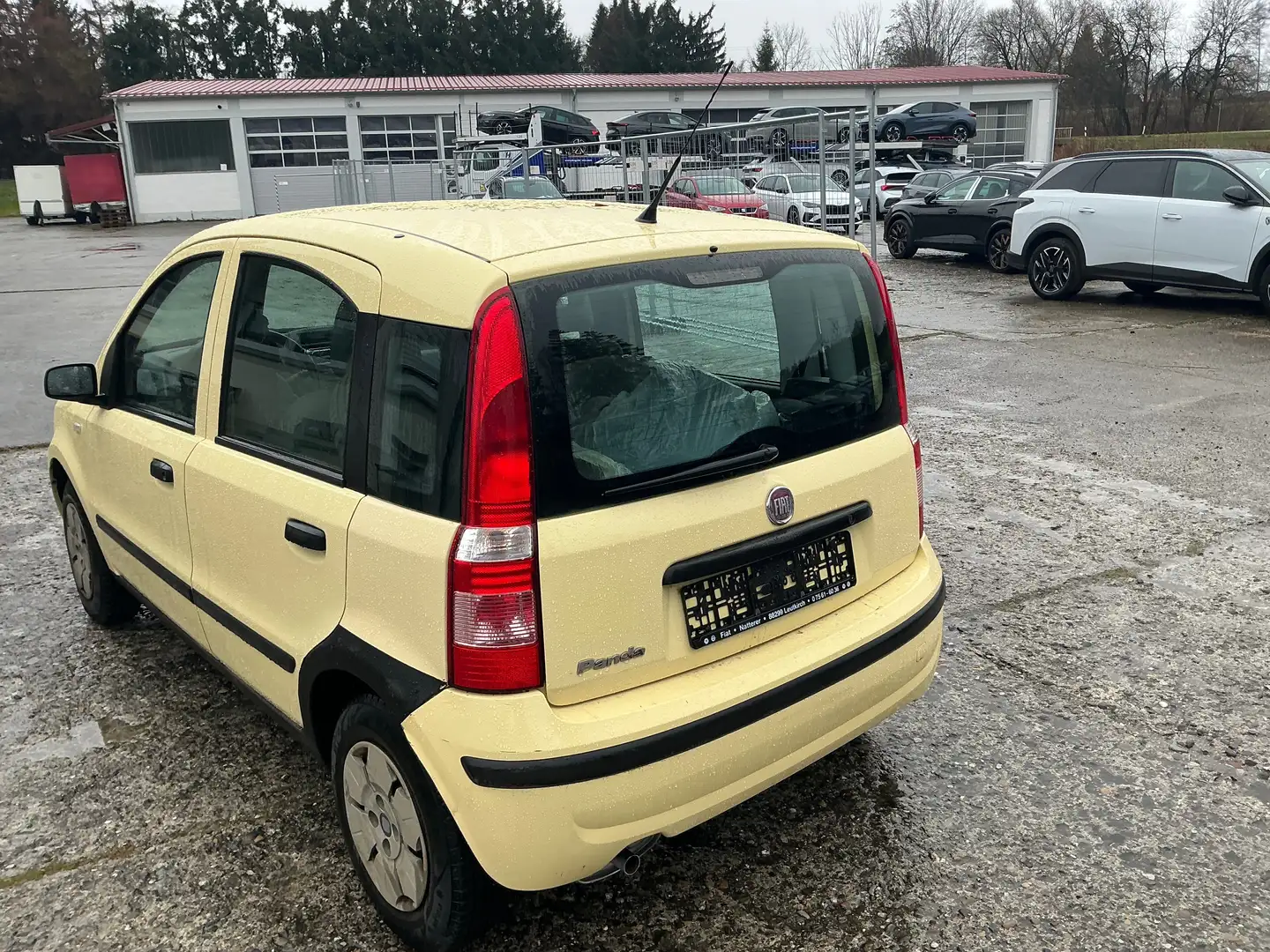 Fiat Panda Panda 1.1 Active Gelb - 1