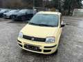 Fiat Panda Panda 1.1 Active Gelb - thumbnail 2
