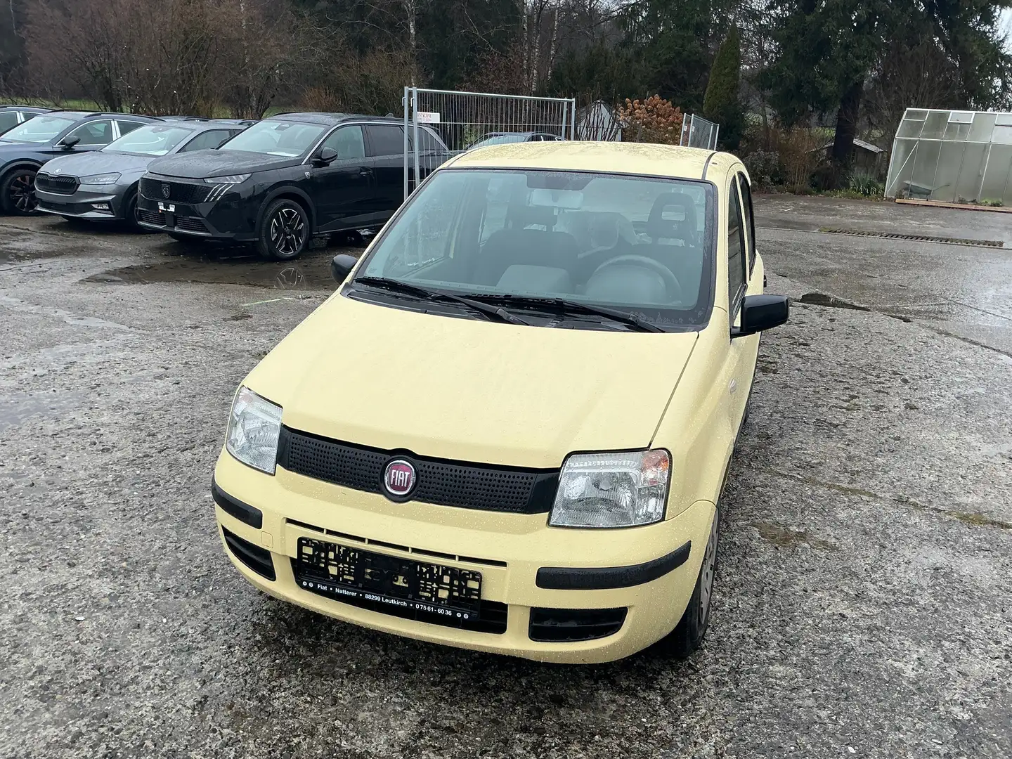 Fiat Panda Panda 1.1 Active Gelb - 2
