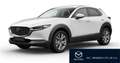 Mazda CX-30 G122 Comfort+/ST Aut. Weiß - thumbnail 1