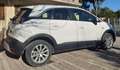 Opel Crossland Crossland 2021 1.5 Diesel ecotec Elegance 110cv Bianco - thumbnail 2