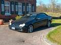 Mercedes-Benz CLK 320 CLK Cabrio 320 Elegance Schwarz - thumbnail 7
