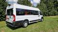 Fiat Ducato Opel Movano Ducato Mobility  Rollstuhl in Stock Weiß - thumbnail 6