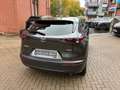Mazda CX-30 SKYAKTIV-G 140 FWD Exclusive-Line Grau - thumbnail 10