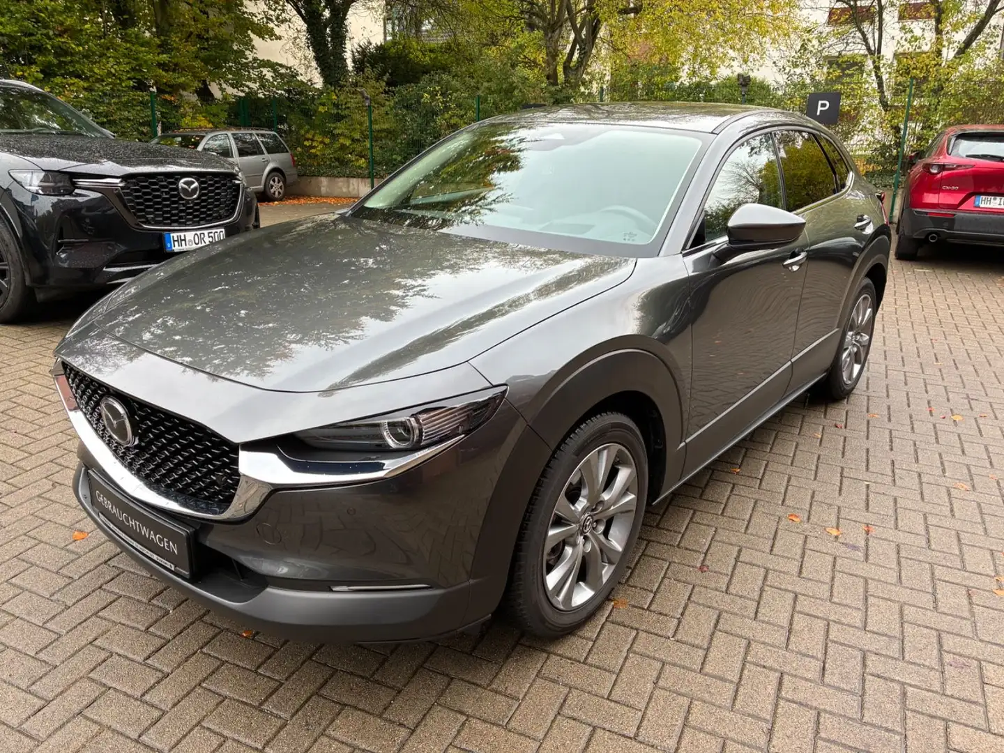 Mazda CX-30 SKYAKTIV-G 140 FWD Exclusive-Line Grau - 1