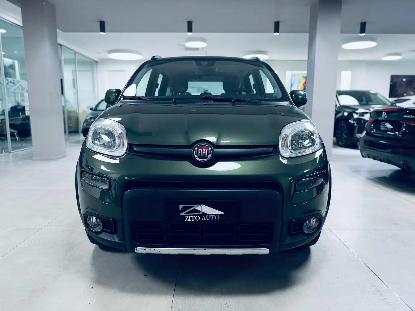 Fiat Panda 4x4 1.3 mjt 16v 75cv Groen - 2