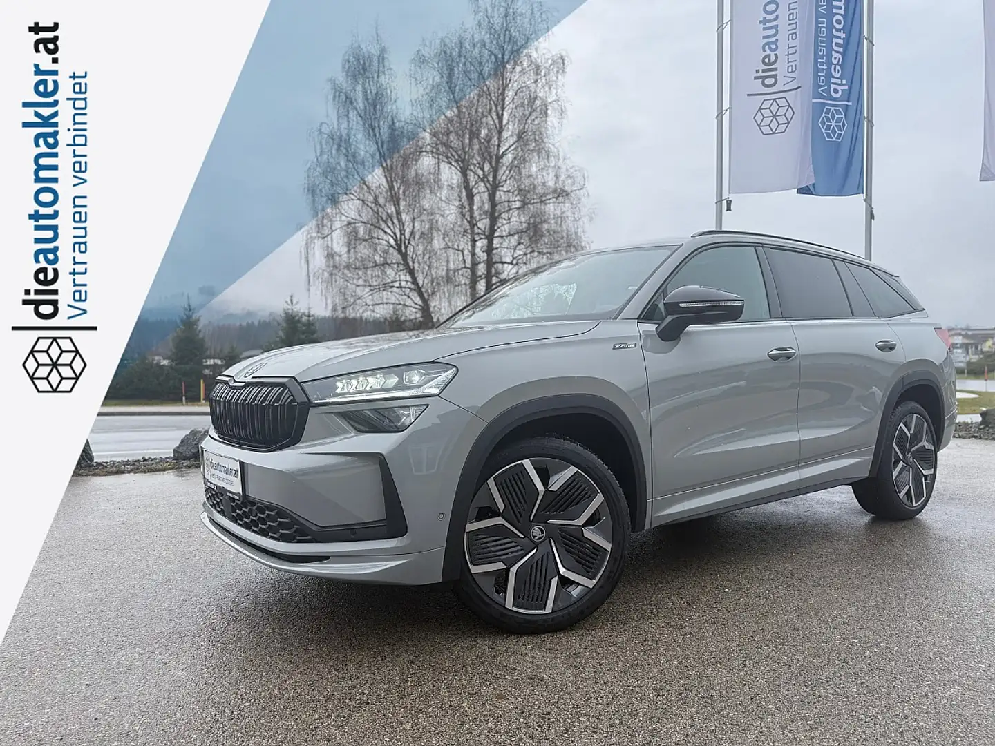 Skoda Kodiaq 1,5 TSI Sportline DSG *VERKAUFT* Grau - 1