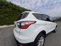 Ford Kuga 1.5 tdci Plus s&s 2wd 120cv - thumbnail 10