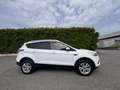 Ford Kuga 1.5 tdci Plus s&s 2wd 120cv - thumbnail 13